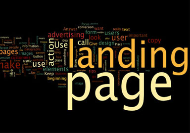 Web development
